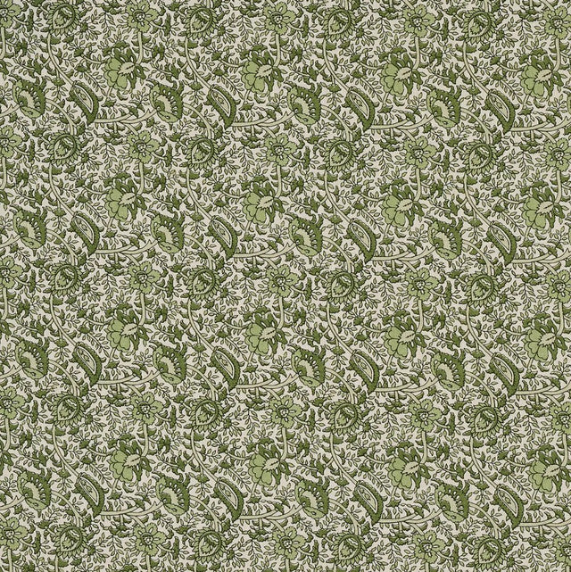 daisy-indoor-outdoor-fabric-by-schumacher-temp - Leaf Green